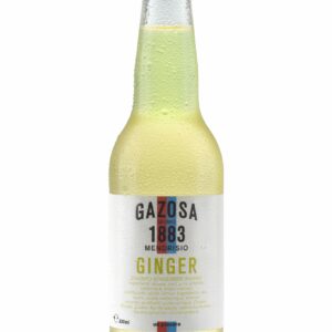 Gazosa Einwegglas 0,33cl Ginger